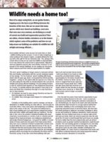 Wildlife and Buildings